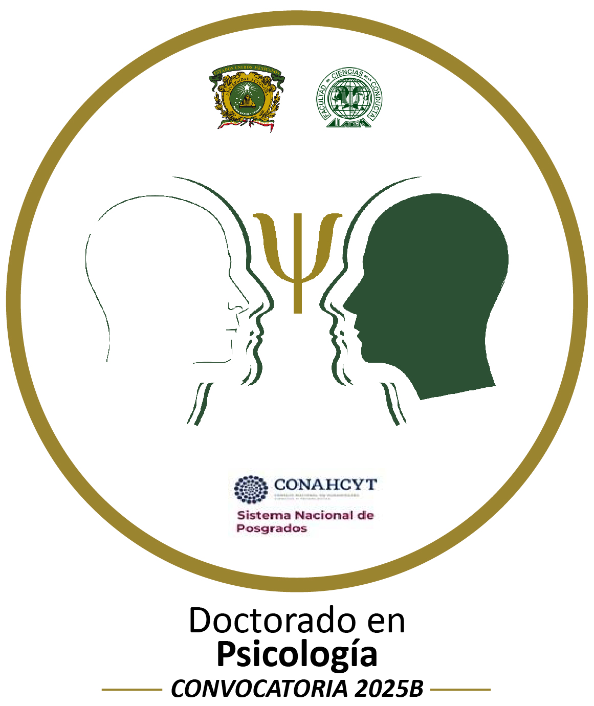 Convocatoria 5